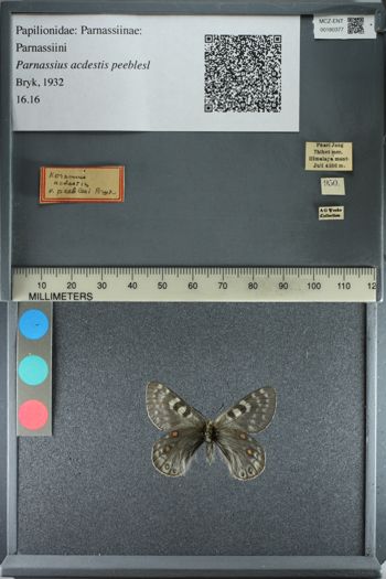 Media type: image;   Entomology 180377